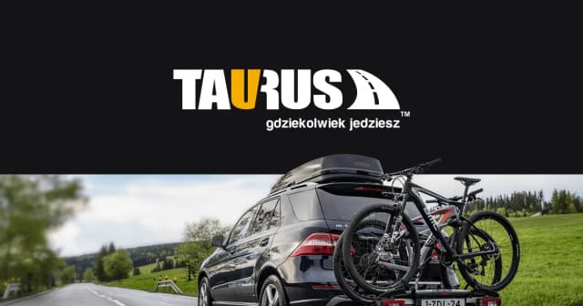 Jak box na dach zwiększa przestrzeń ładunkową i chroni bagaż